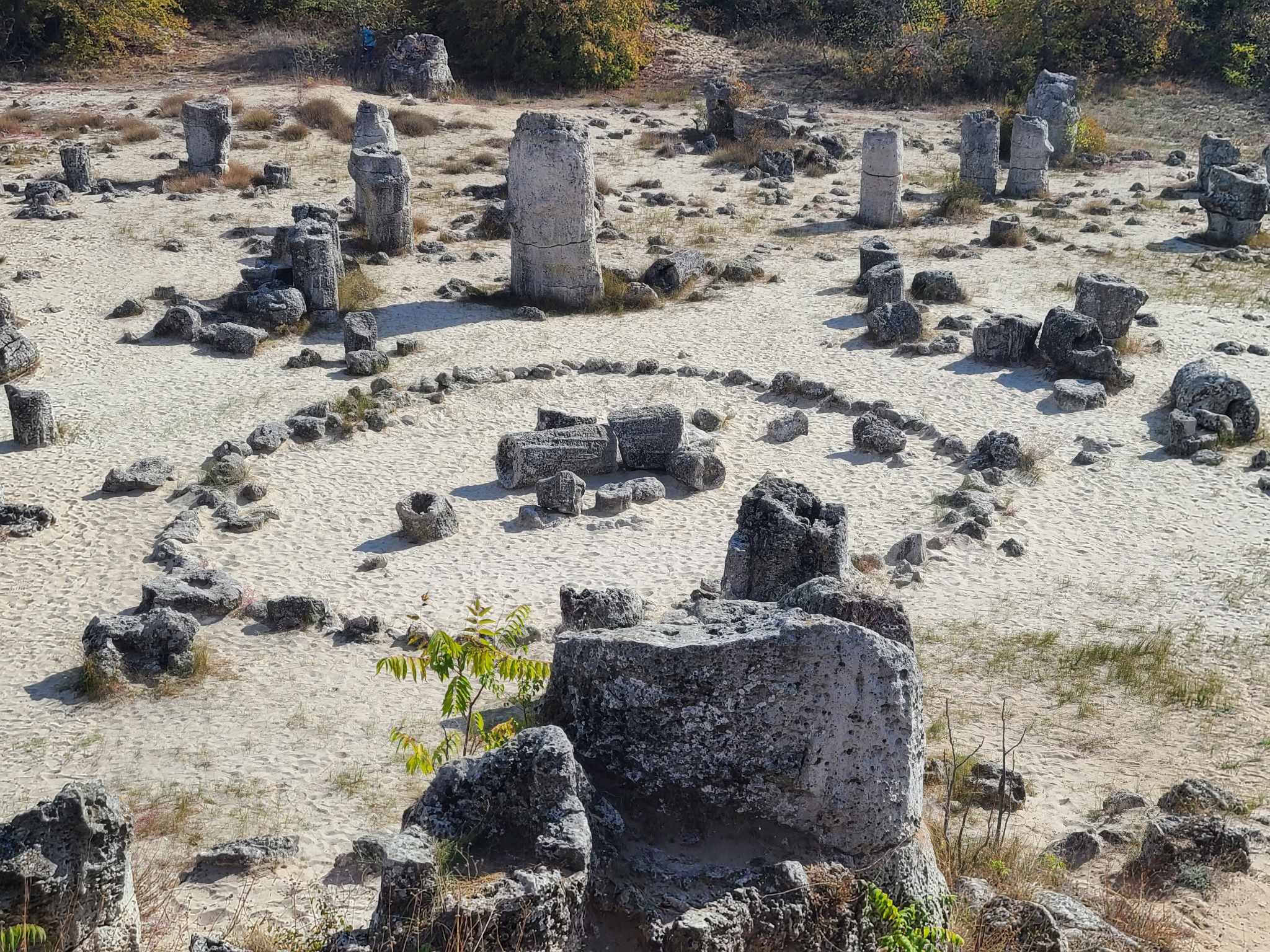 Pobite Kamani: The Enchanting Stone Desert Near Varna